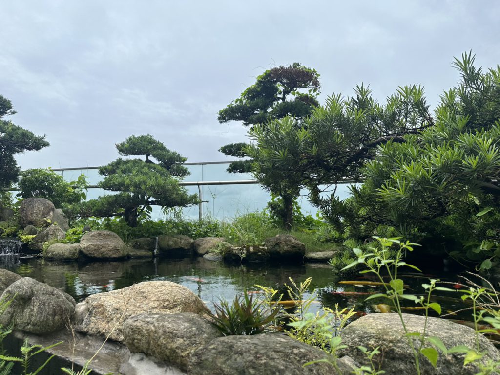 Vệ sinh hồ cá koi tại hà nội